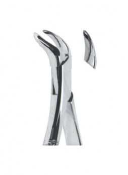 Extracting Forceps